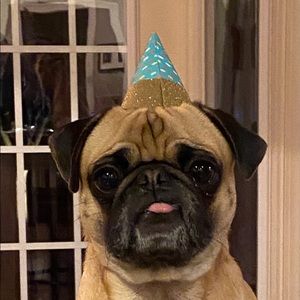 Meet your Posher, Sydney